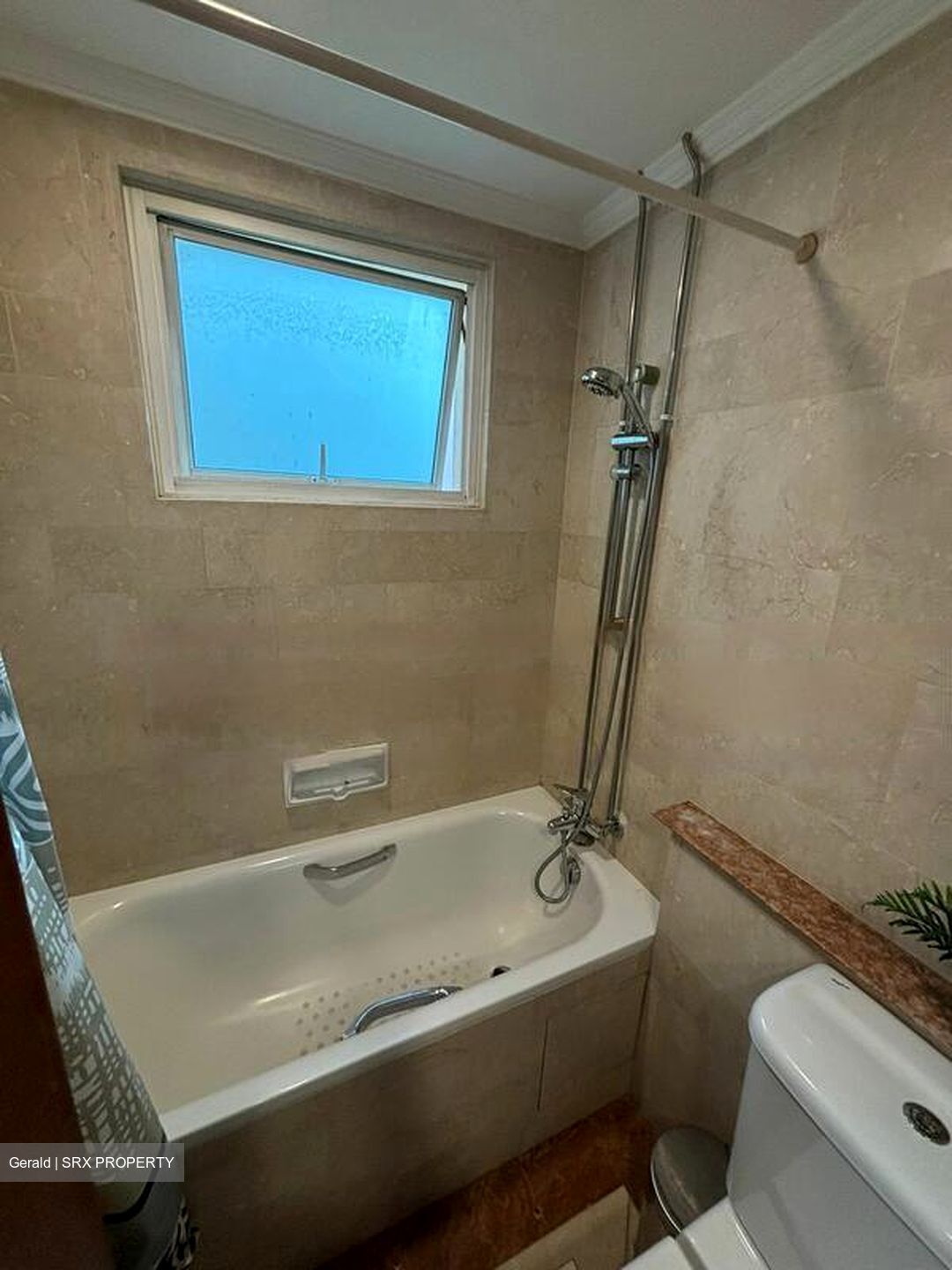 Emerald Garden (D1), Condominium #496291971